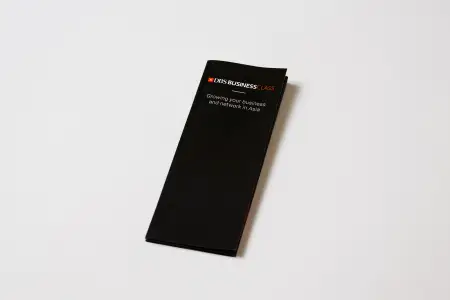 2014_dbsbrochure2